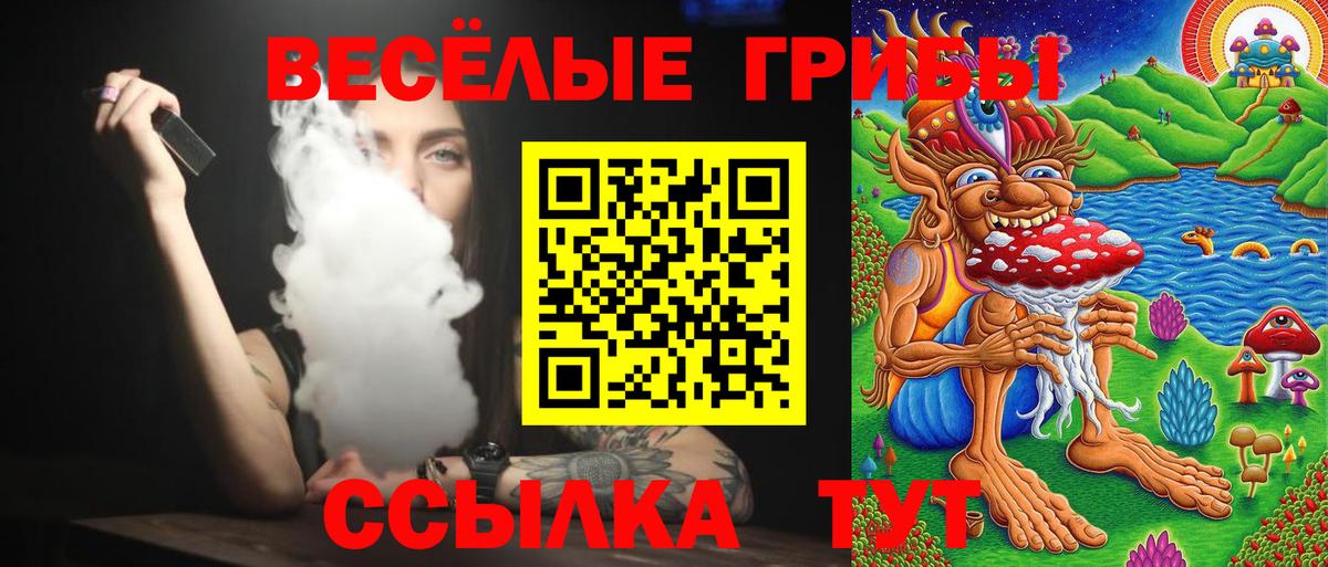 цена наркотик  Вход с VPN  Псилоцибиновые грибы прущие грибы  Георгиевск  Псилоцибиновые грибы ЛСД 