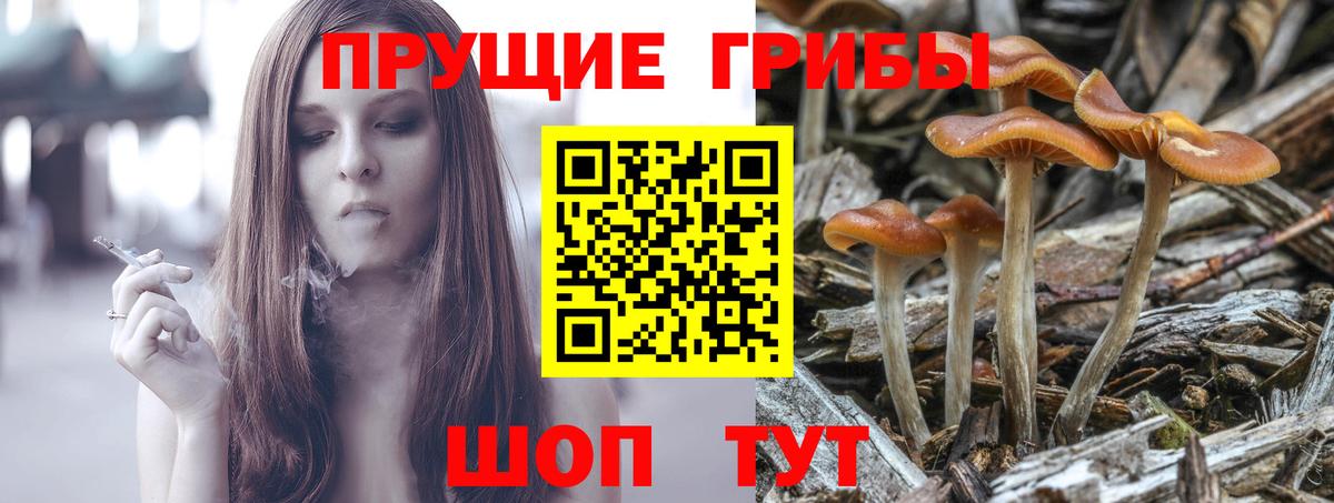 Псилоцибиновые грибы мухоморы Георгиевск